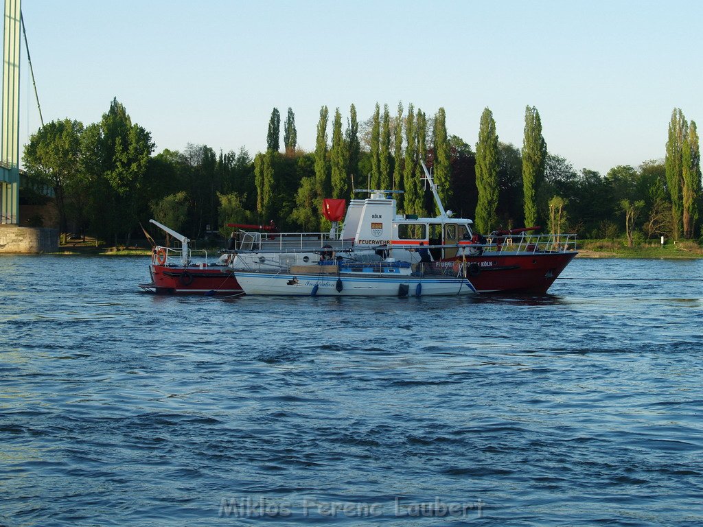 Motor Segelboot mit Motorschaden trieb gegen Alte Liebe bei Koeln Rodenkirchen P175.JPG